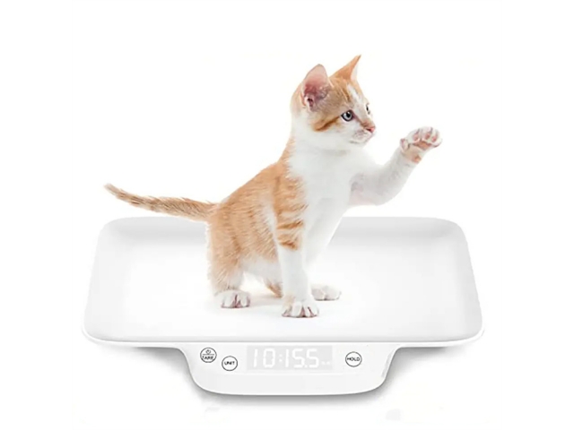 VT-505 Pet Scale